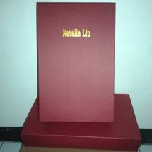 Logo Soen box