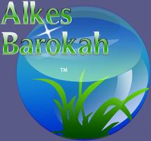 Logo Alkes Barokah Jepara