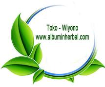 Logo Toko Wiyono