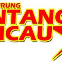 Logo BINTANG KICAU