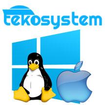 Logo tekosystem