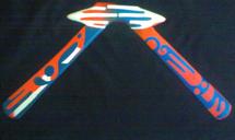 Logo Roswell Boomerang