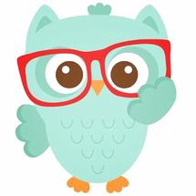 Logo owlsome