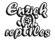 Logo enzick reptile