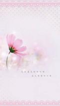 Logo mariana shop acc