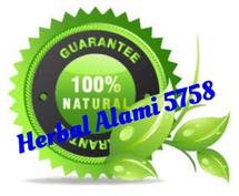 Logo Herbal alami 5758
