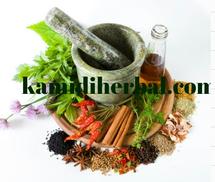 Logo jamu kamidi herbal