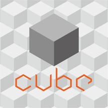 Logo Cube Store ID