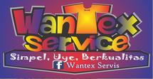 Logo Wantex Service