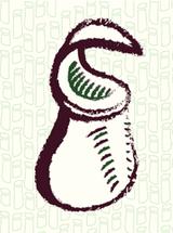 Logo Little Carnivorous Camp