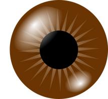 Logo Brown Eyes