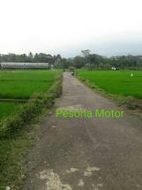 Logo Pesona Motor