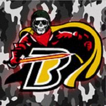Logo Bariska