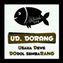 Logo dorang cctv