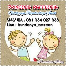Jual Gamis Anak La Bella MSI - DMK (11) sz. L - Merah Muda - Kab. Banyumas  - Princess Rafflesia | Tokopedia