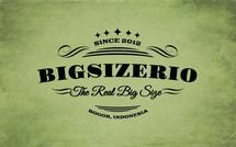 Logo bigsizerio