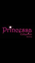 Logo PRINCESSA COLLECTION