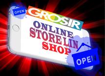 Logo storelin