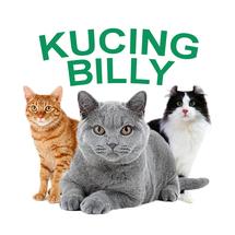 Logo Kucingbilly