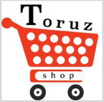 Logo ToruzShop