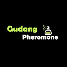 Logo gudangpheromone