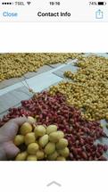 Logo Ath Thoyyibah Food