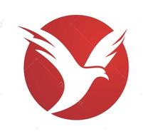 Logo Wing Com