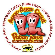 Logo NickKaren