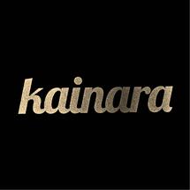 Logo kainara store