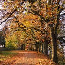 Logo toko grosir klewer