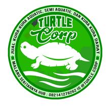 Logo Turtle Corp