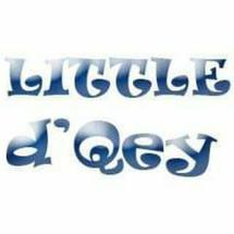 Logo little d'qeyz
