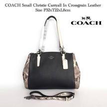 Logo longchamp.mania