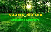 Logo Najma_sell