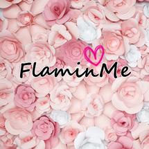 Logo FlaminMe