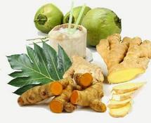 Logo Haekal Herbal