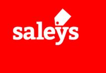 Logo Saleys Store