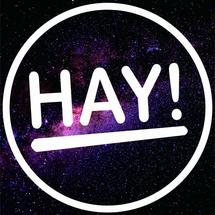 Logo HayBag'S
