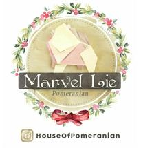 Logo House Of Pomeranian