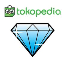 Logo risecell