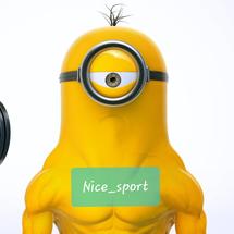 Logo Nice_sport