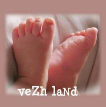 Logo vezhland