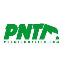 Logo Premium.Nation