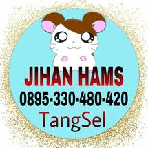 Logo jihan OS