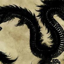 Logo black dragon cell