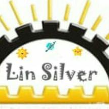Logo Lin Silver