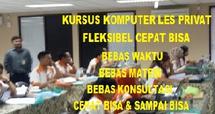Logo lesprivatkursus
