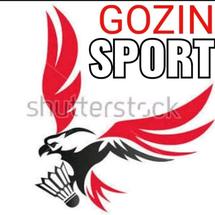 Logo GOZIN SPORT