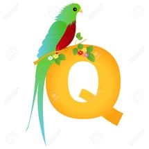 Logo qiar4yes