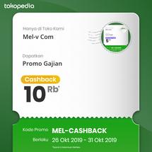 Logo Mel-v Com